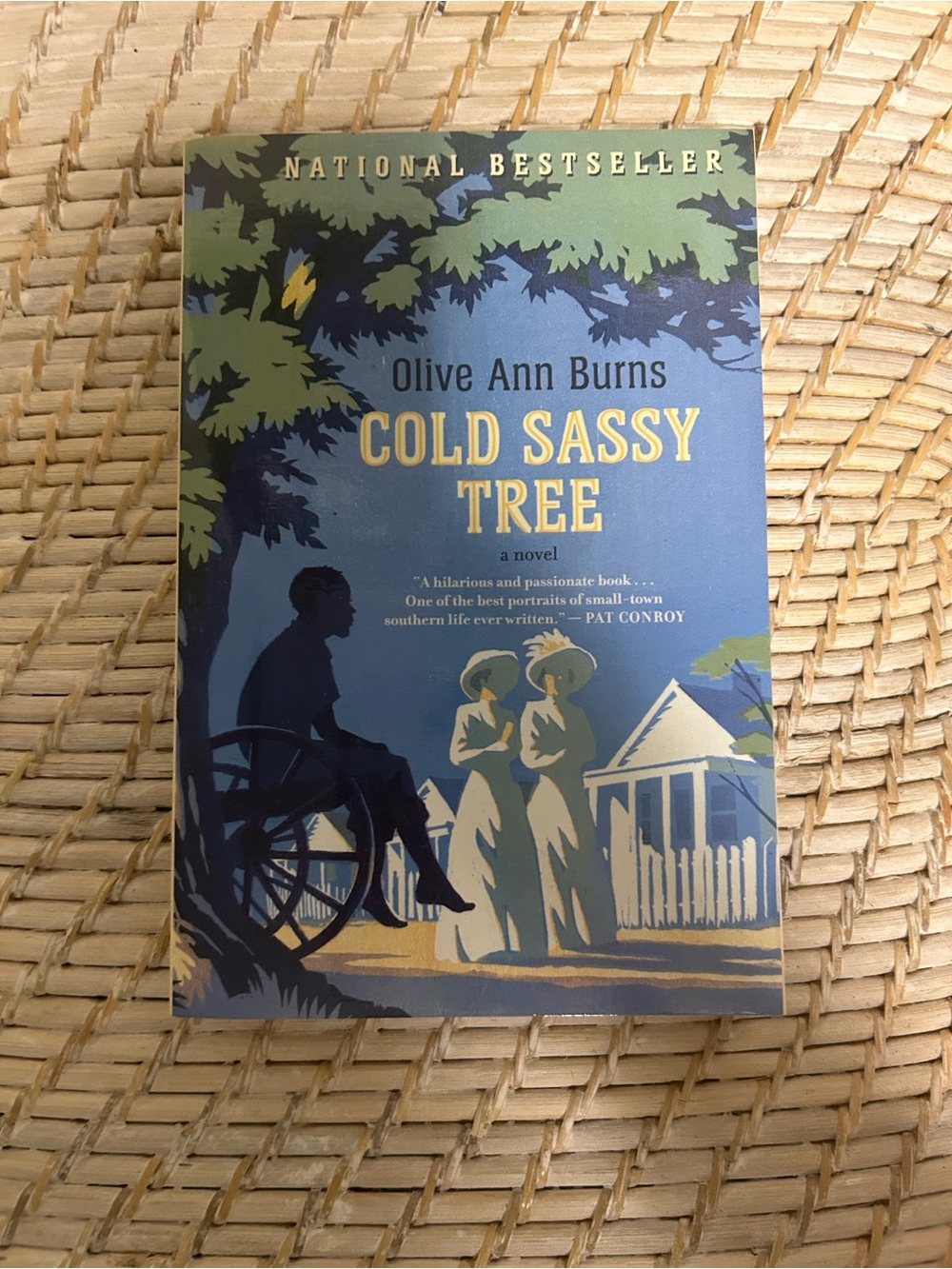 Cold Sassy Tree by Olive Ann Burns - Blue and Olive Cover